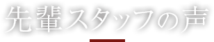先輩スタッフの声